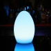 LED Light - Egg Shape 290